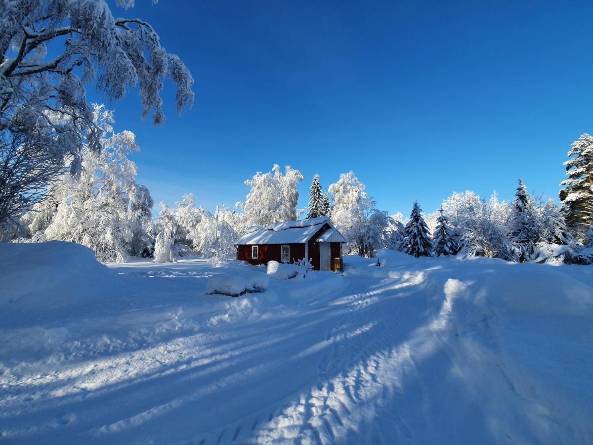 Luxury Guesthouse 'Lodge Lagom' - Hammarstrand-Jaemtland Екстер'єр фото