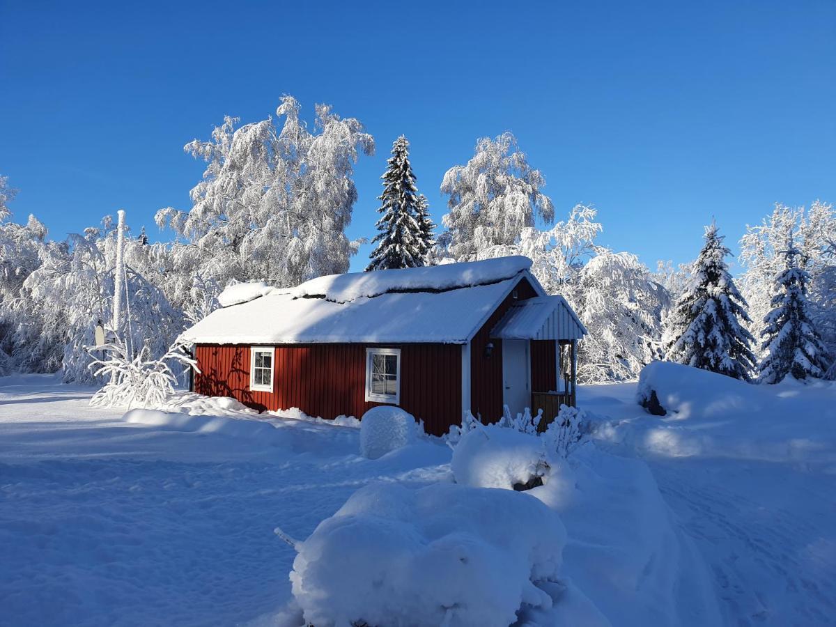 Luxury Guesthouse 'Lodge Lagom' - Hammarstrand-Jaemtland Екстер'єр фото